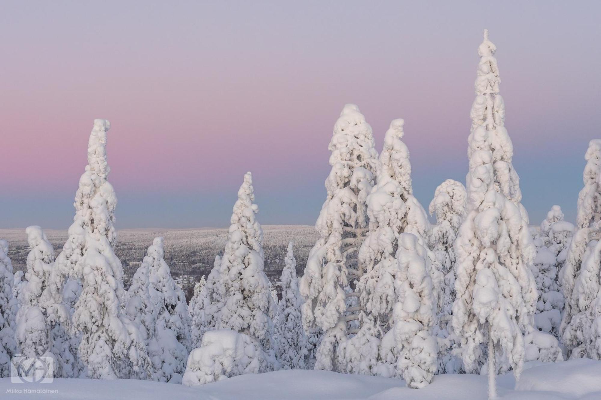 Charming Condo In The Downtown Rovaniemi Exteriör bild